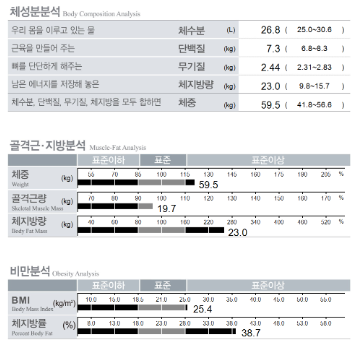 다이어트, 무리해서 빼지 않고 체질에 맞춰 관리한다는 것 치료 전