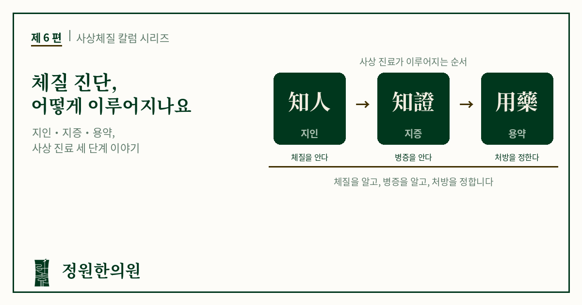 사상6편. 체질 진단, 어떻게 이루어지나요